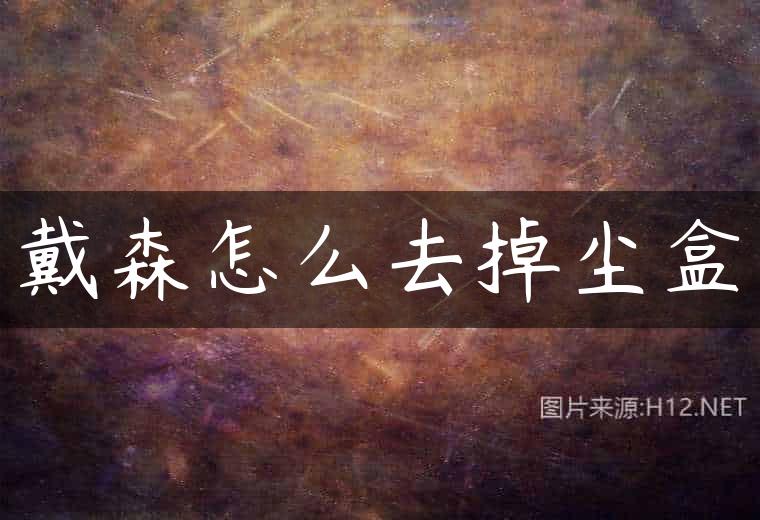 戴森怎么去掉尘盒