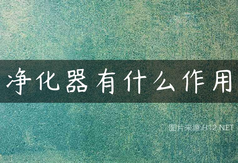 净化器有什么作用