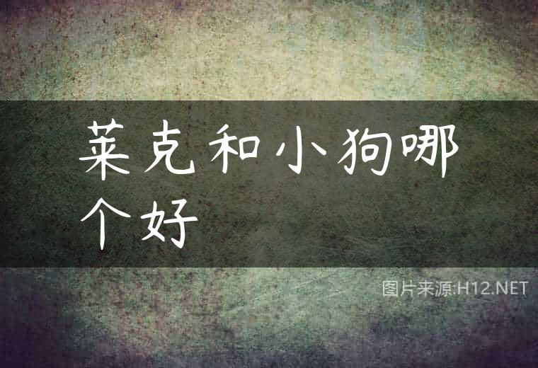 莱克和小狗哪个好