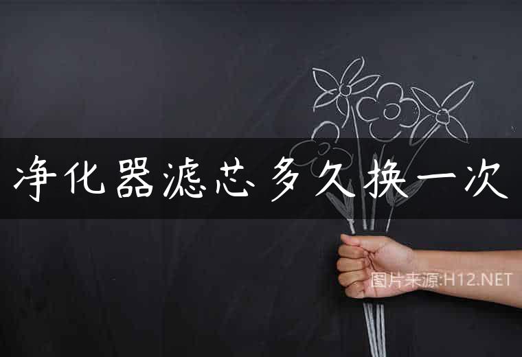 净化器滤芯多久换一次