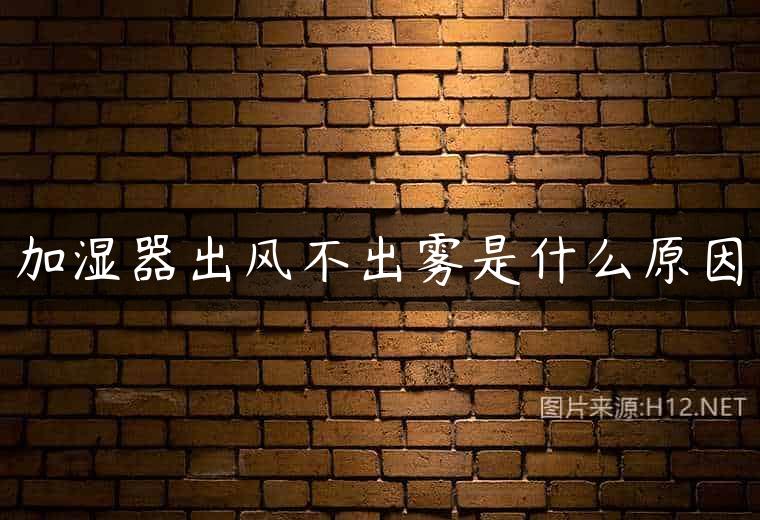 加湿器出风不出雾是什么原因