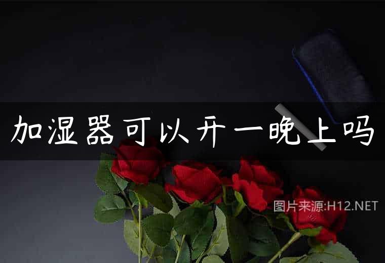 加湿器可以开一晚上吗