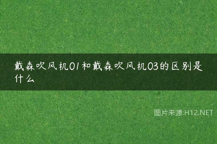 戴森吹风机01和戴森吹风机03的区别是什么