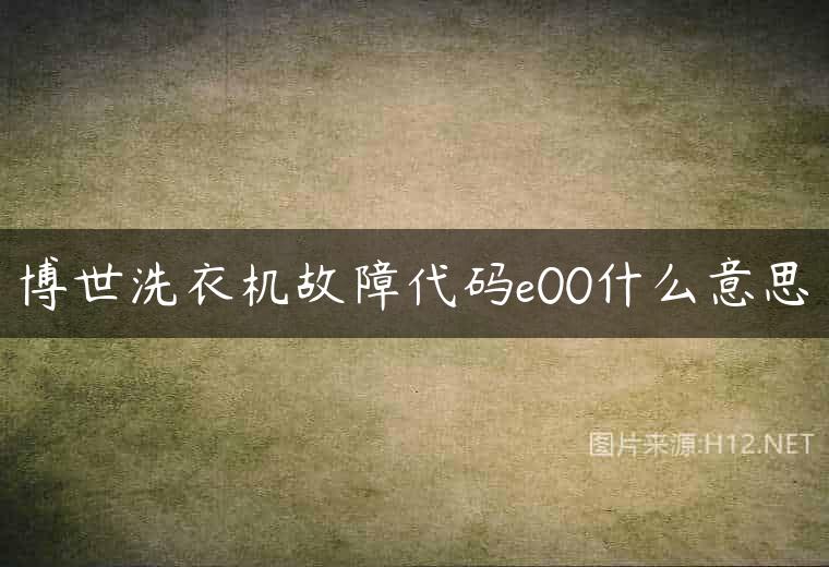 博世洗衣机故障代码e00什么意思