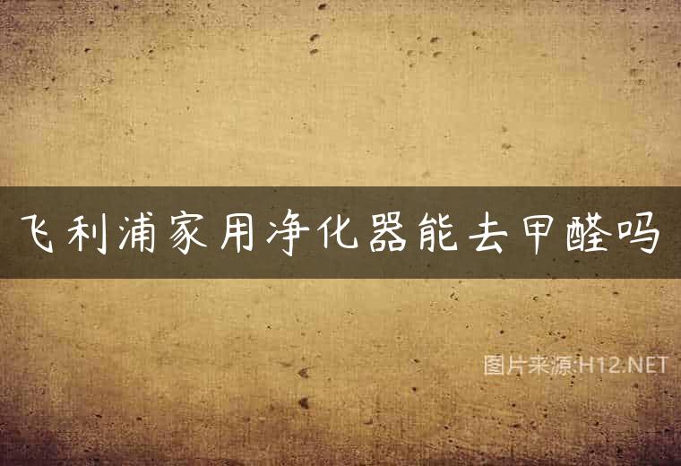 飞利浦家用净化器能去甲醛吗