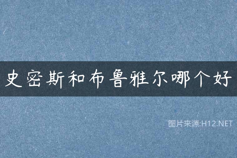 史密斯和布鲁雅尔哪个好