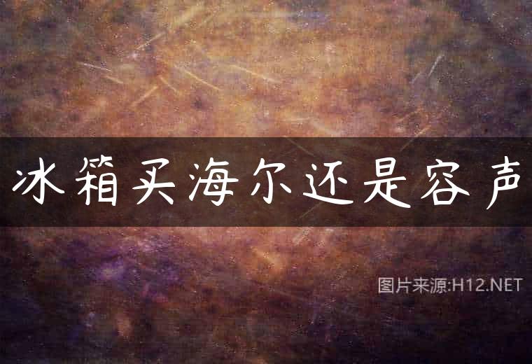 冰箱买海尔还是容声