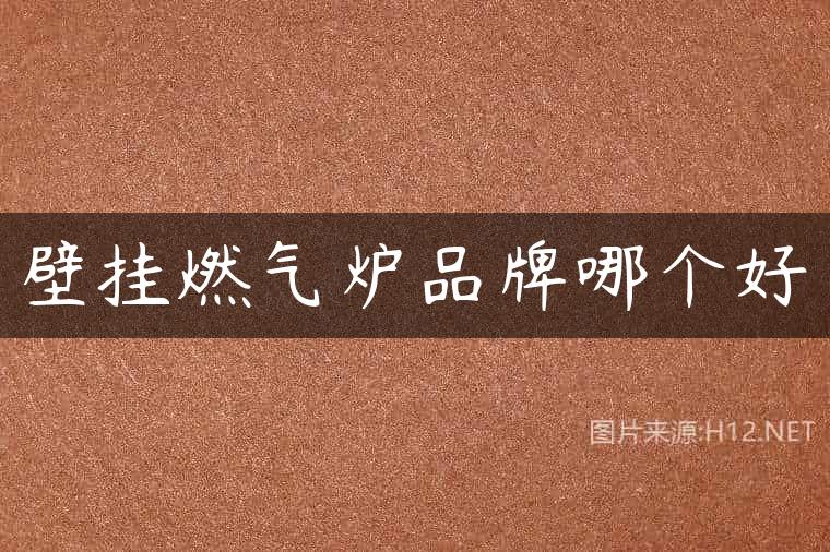 壁挂燃气炉品牌哪个好