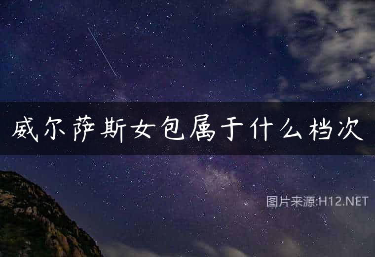 威尔萨斯女包属于什么档次