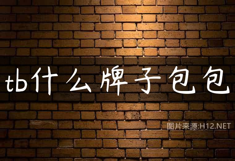 tb什么牌子包包