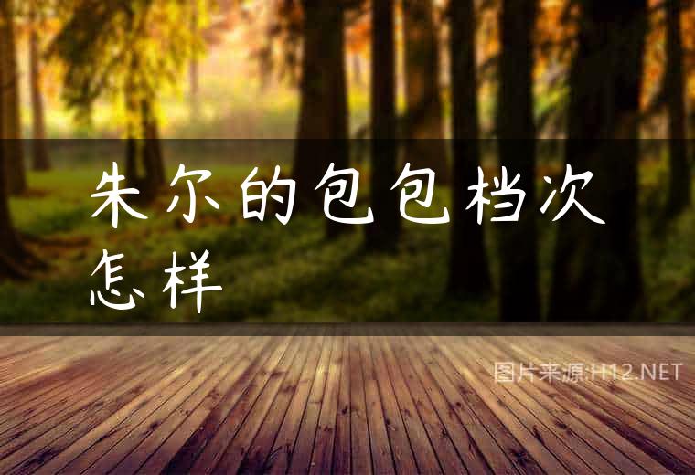 朱尔的包包档次怎样