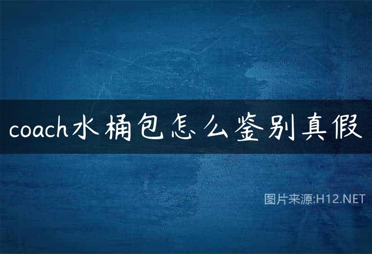 coach水桶包怎么鉴别真假