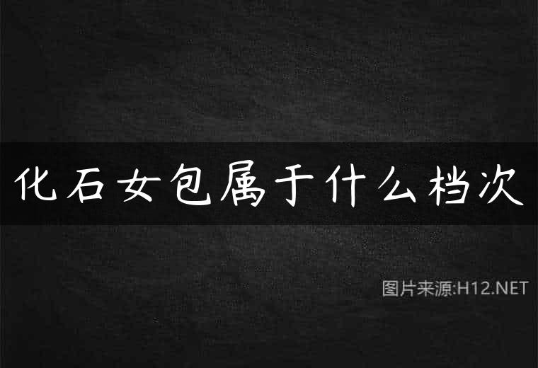 化石女包属于什么档次