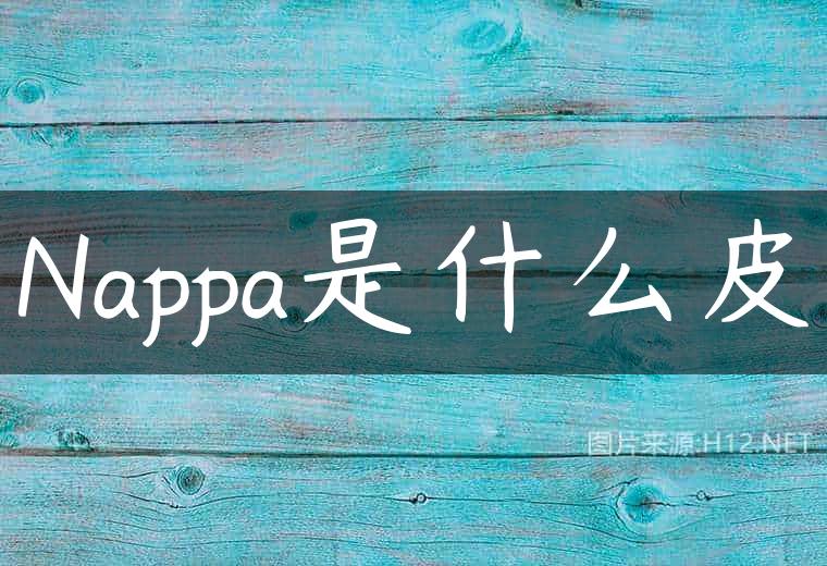 Nappa是什么皮
