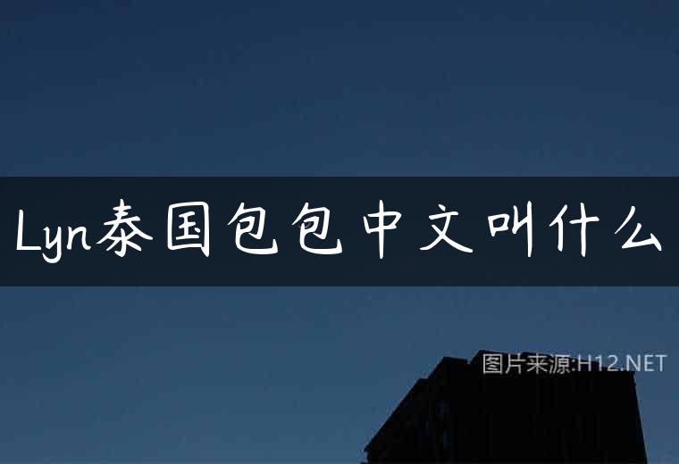 Lyn泰国包包中文叫什么