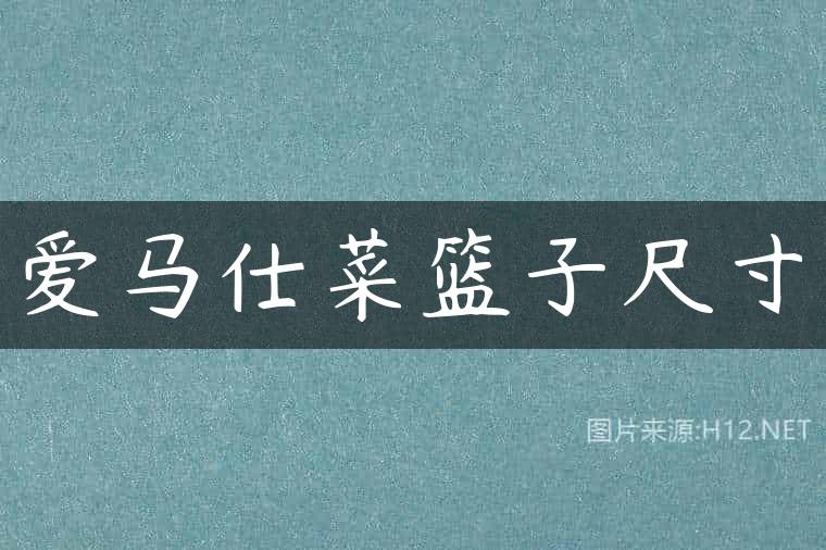 爱马仕菜篮子尺寸