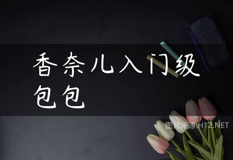香奈儿入门级包包