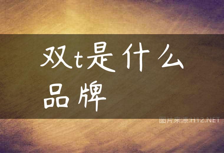 双t是什么品牌