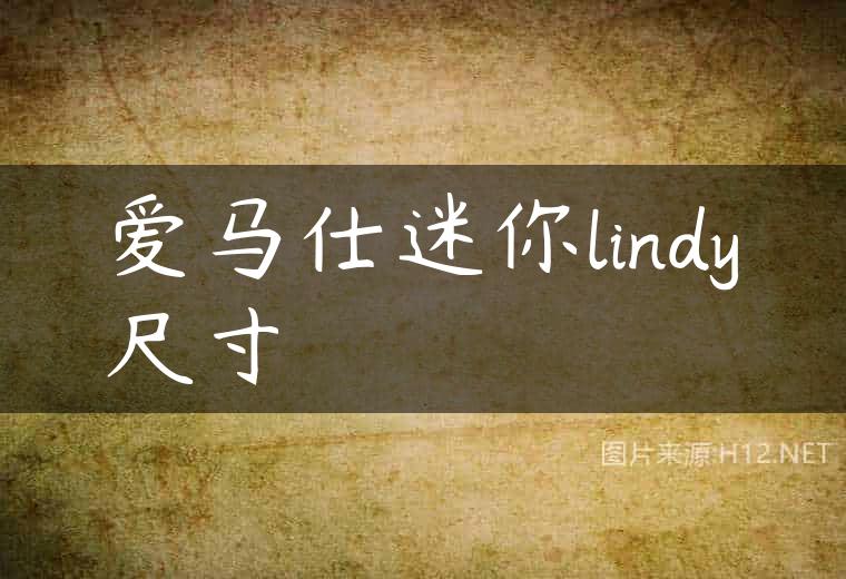 爱马仕迷你lindy尺寸