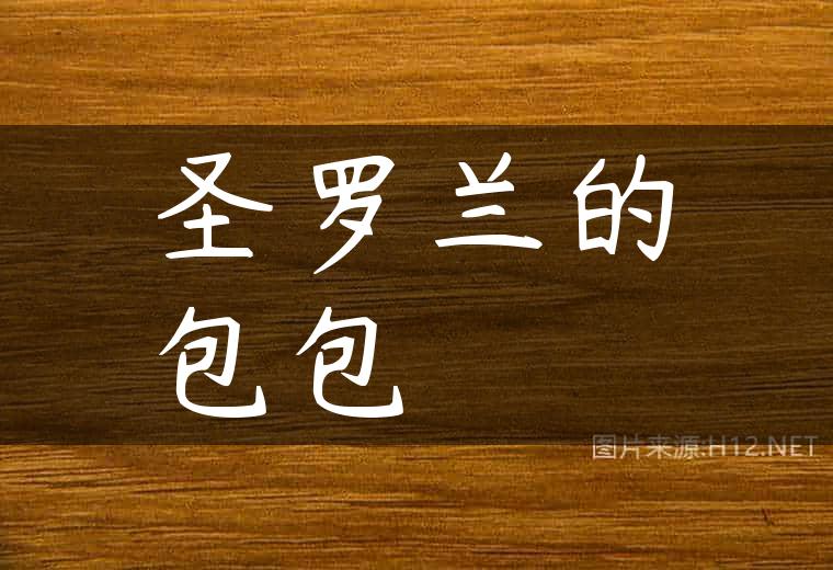 圣罗兰的包包