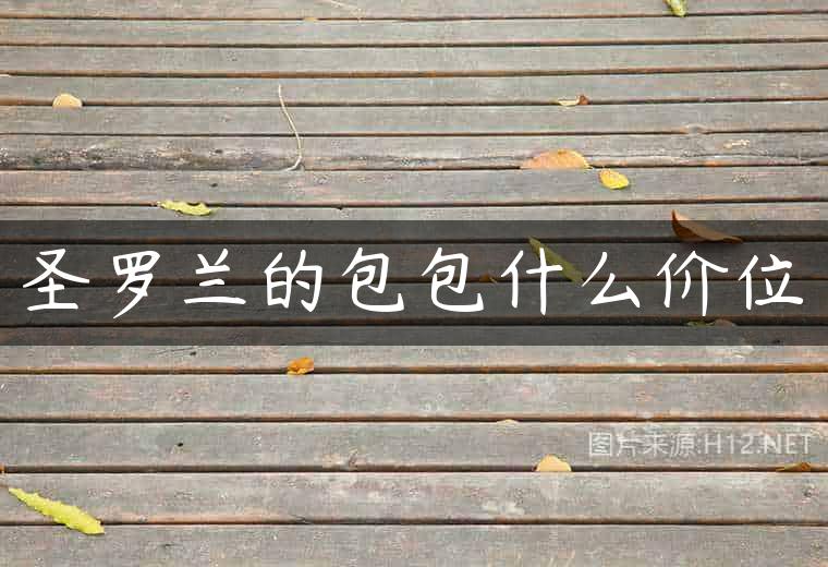 圣罗兰的包包什么价位