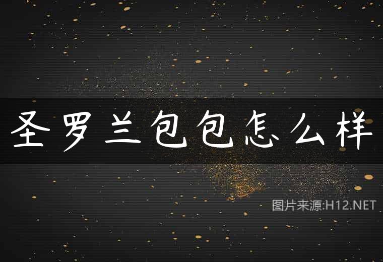 圣罗兰包包怎么样