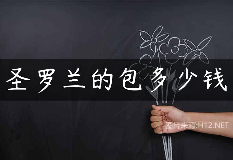 圣罗兰的包多少钱
