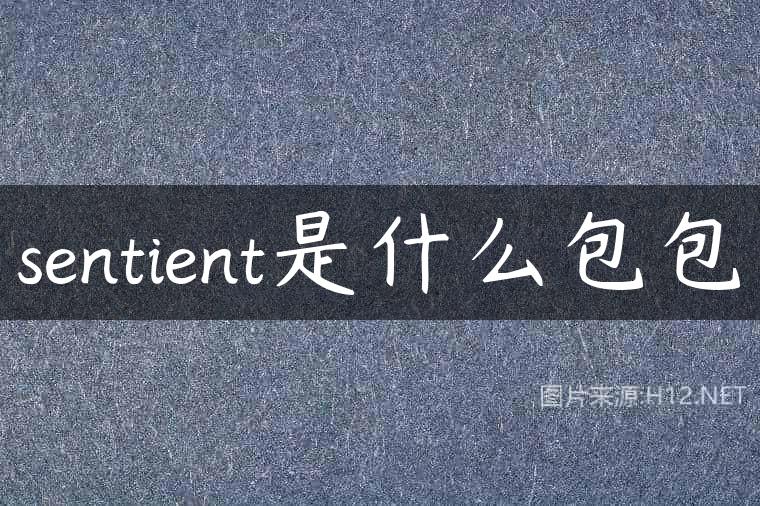 sentient是什么包包