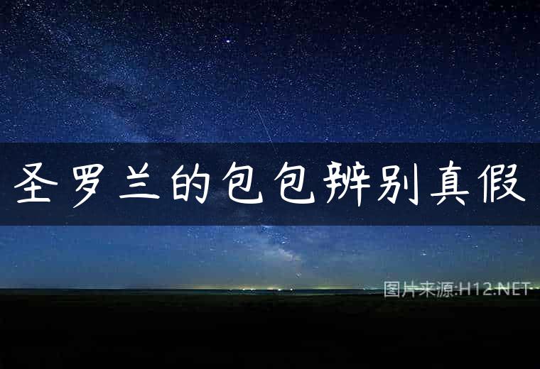 圣罗兰的包包辨别真假
