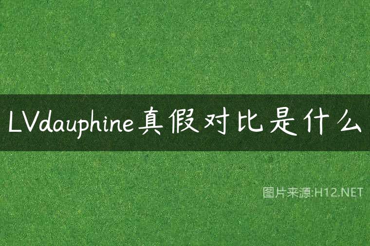 LVdauphine真假对比是什么