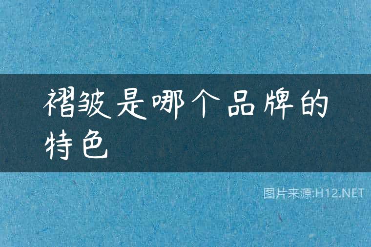 褶皱是哪个品牌的特色