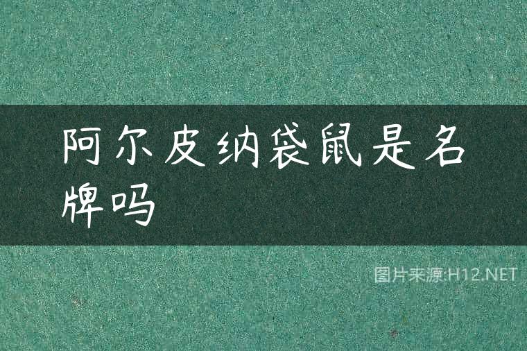 阿尔皮纳袋鼠是名牌吗