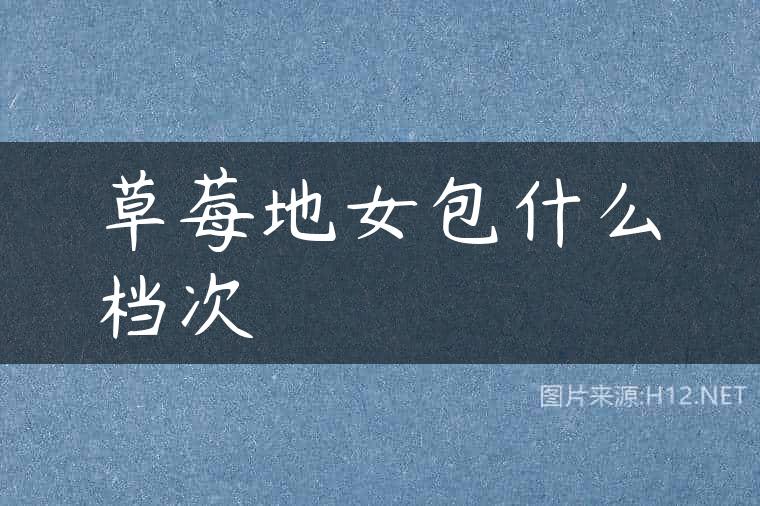 草莓地女包什么档次