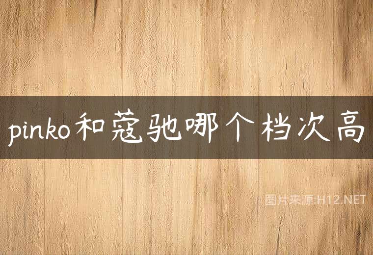 pinko和蔻驰哪个档次高