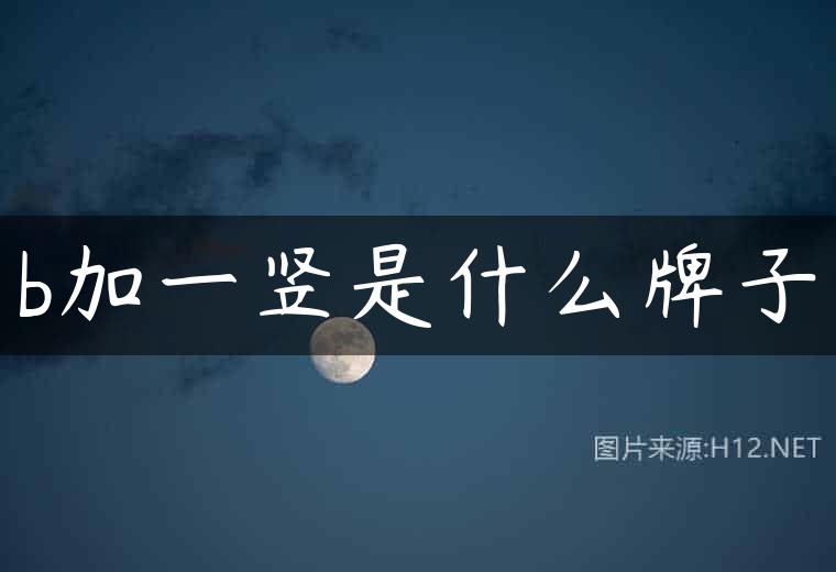b加一竖是什么牌子