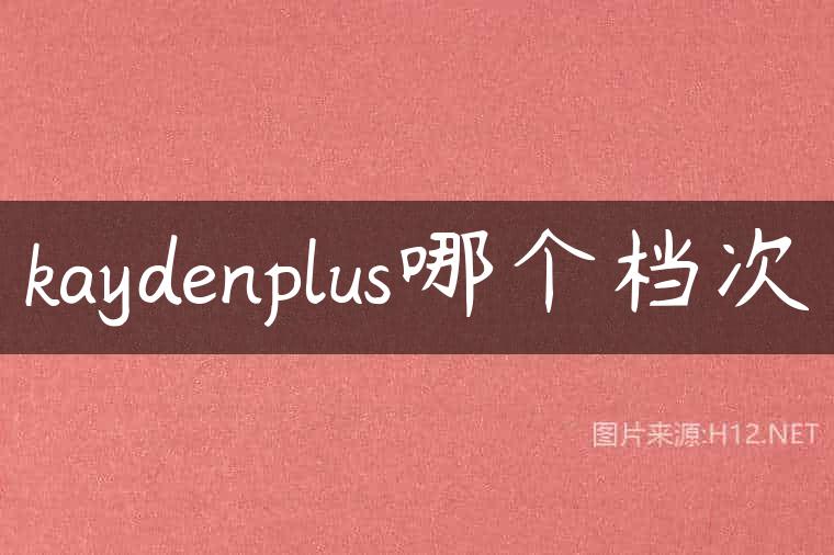kaydenplus哪个档次