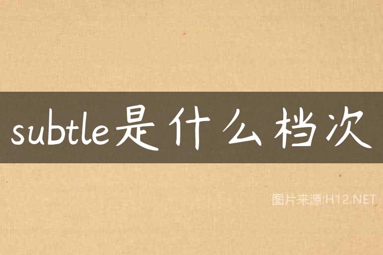 subtle是什么档次