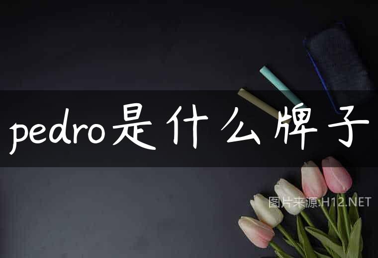 pedro是什么牌子