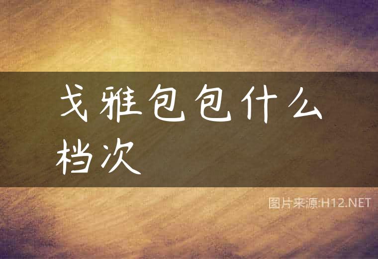 戈雅包包什么档次