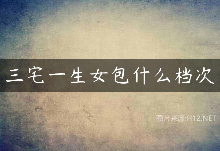 三宅一生女包什么档次
