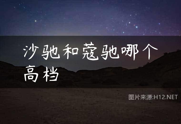 沙驰和蔻驰哪个高档