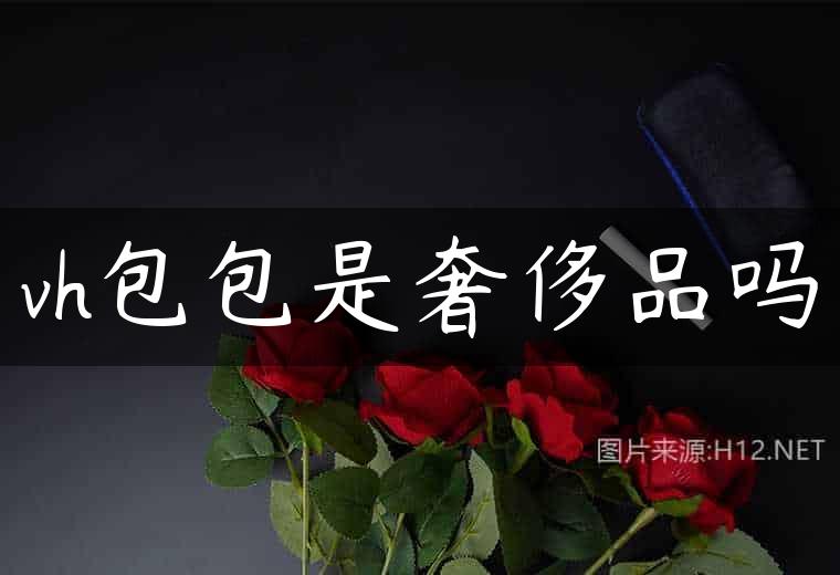 vh包包是奢侈品吗