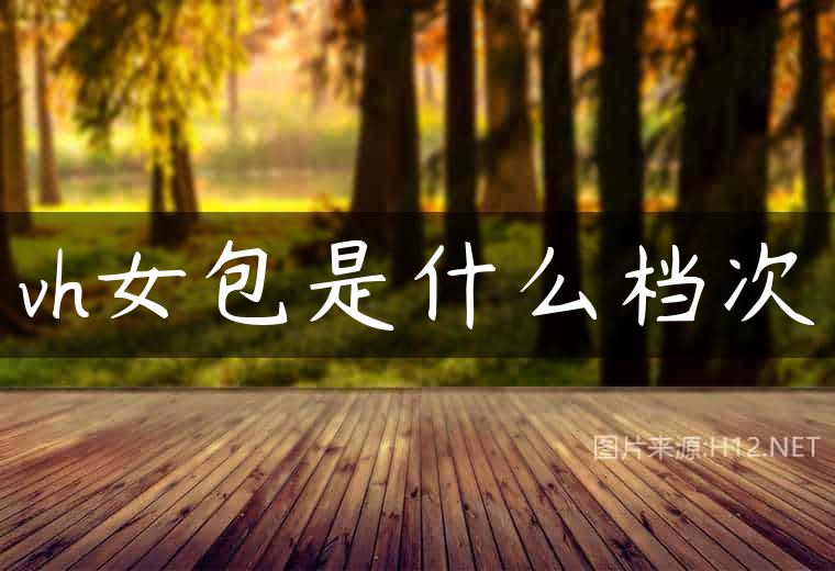 vh女包是什么档次