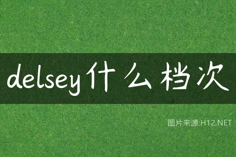 delsey什么档次