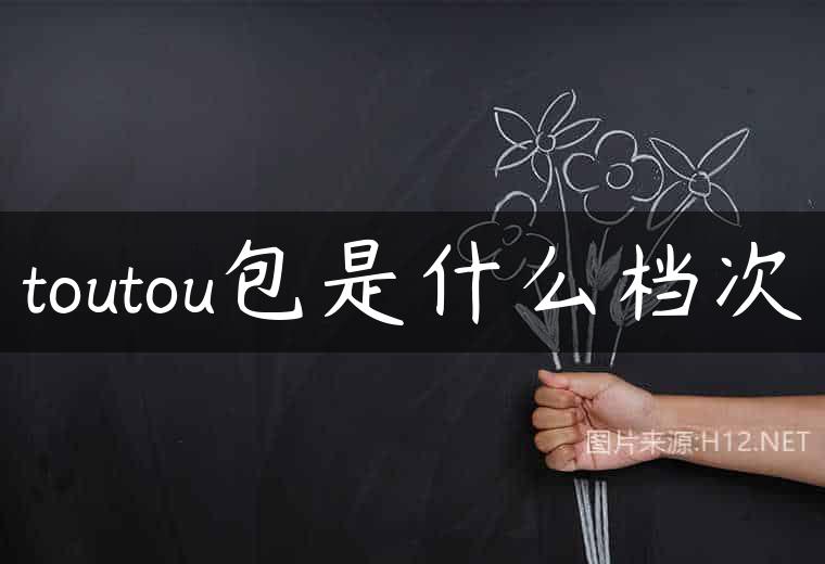 toutou包是什么档次