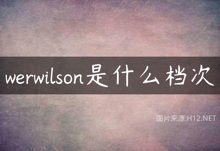 werwilson是什么档次