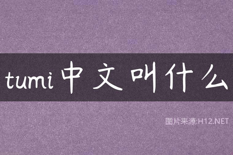 tumi中文叫什么
