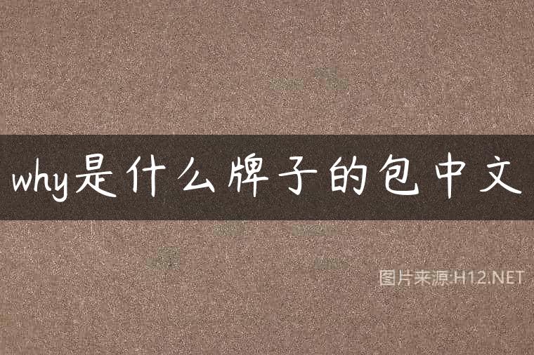 why是什么牌子的包中文