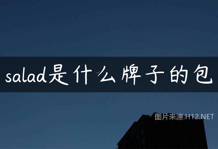 salad是什么牌子的包
