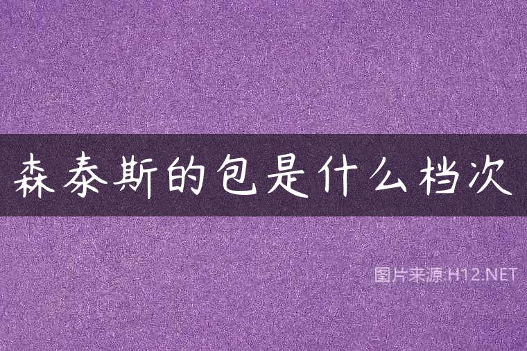 森泰斯的包是什么档次